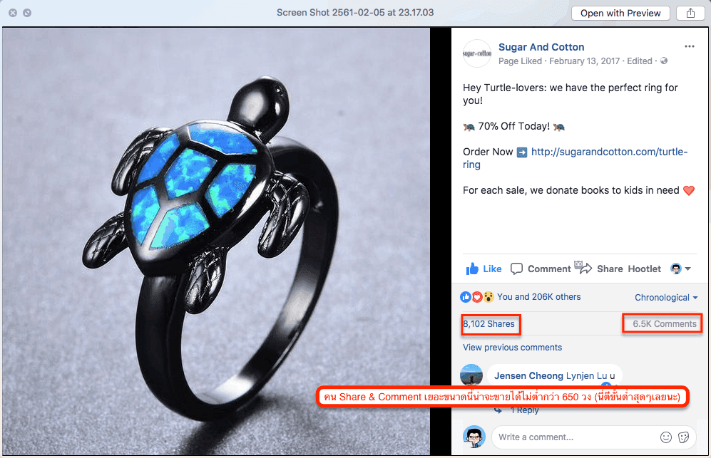 Turtle Ring Case Study